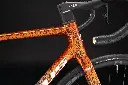 Pardus Robin RS AXS eTap